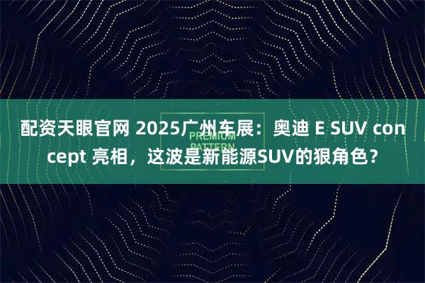 配资天眼官网 2025广州车展：奥迪 E SUV concept 亮相，这波是新能源SUV的狠角色？