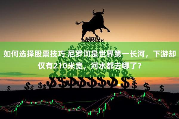 如何选择股票技巧 尼罗河是世界第一长河，下游却仅有210米宽，河水都去哪了？