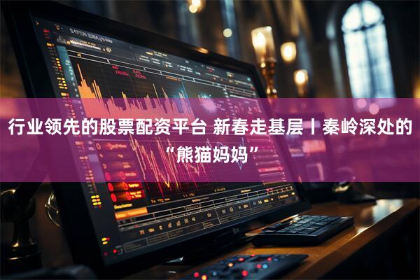 行业领先的股票配资平台 新春走基层丨秦岭深处的“熊猫妈妈”